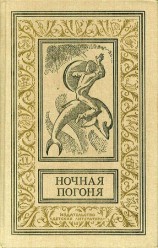 читать Ночная погоня