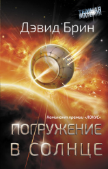 читать Погружение в Солнце