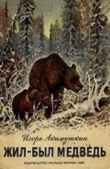 читать Жил-был медведь