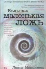 читать Большая маленькая ложь