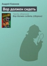 читать Кома (Вор должен сидеть)