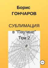 читать Сублимация в «Паутине» Том 2