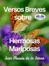 читать Versos Breves Sobre Hermosas Mariposas