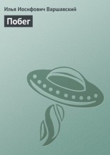 читать Побег: Варшавский Илья Иосифович