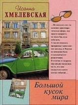 читать Большой кусок мира (Большой кусок света)