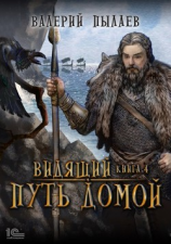 читать Видящий. Путь домой