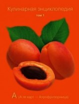читать Кулинарная энциклопедия. Том 1. А (А ля карт – Аэрофритюрница)