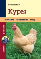 читать Куры