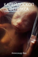 читать Калейдоскоп Феникса