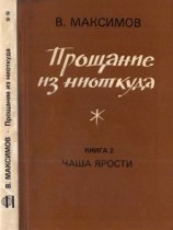 читать Прощание из ниоткуда. Книга 2. Чаша ярости