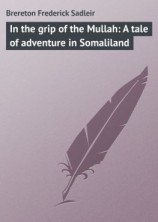 читать In the grip of the Mullah: A tale of adventure in Somaliland