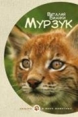 читать Мурзук