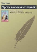 читать Уроки маленьких птичек