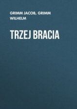 читать Trzej bracia