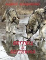 читать Беглец и Беглянка