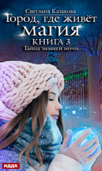 читать Тайна зимней ночи