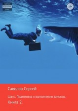 читать Шанс. Подготовка к исполнению замысла. Книга 2