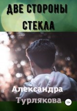 читать Две стороны стекла