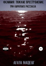 читать Фелония. Тяжкое преступление. Три коротких рассказа
