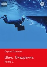 читать Внедрение. Я в моей голове