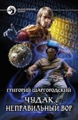 читать Чудак. Неправильный вор
