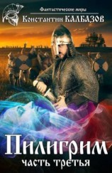 читать Пилигрим 3