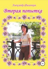 читать Вторая попытка