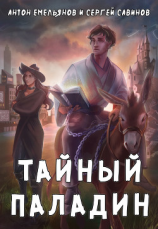 читать Тайный паладин