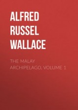 читать The Malay Archipelago, Volume 1