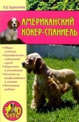 читать Американский кокер спаниель