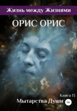 читать Мытарства Души