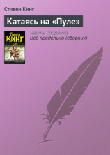 читать Катаясь на «Пуле»