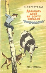 читать Двадцать дней на борту корабля Очарование