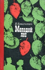 читать Молодой лес