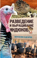 читать Разведение и выращивание индюков, перепелок и цесарок