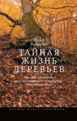 читать Тайная жизнь деревьев. Что они чувствуют, как они общаются   открытие сокровенного мира