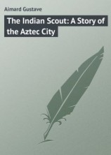 читать The Indian Scout: A Story of the Aztec City