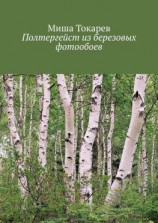 читать Полтергейст из березовых фотообоев
