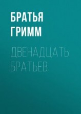 читать Двенадцать братьев
