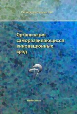 читать Организация саморазвивающихся инновационных сред