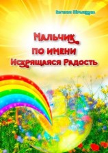 читать Мальчик по имени Искрящаяся Радость. Необычная история любви
