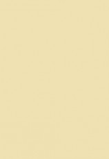 читать Файл №302. Операция «Скрепка»