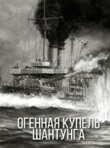 читать Купель Шантунга