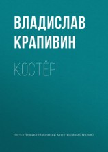 читать Костёр