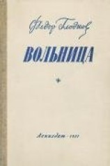 читать Вольница