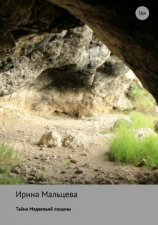 читать Тайна Медвежьей лощины