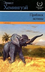 читать Проблеск истины