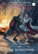 читать Время испытаний