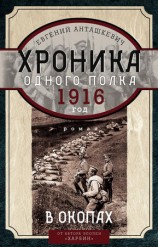 читать Хроника одного полка. 1916 год. В окопах