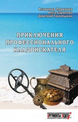 читать Приключения профессионального кладоискателя